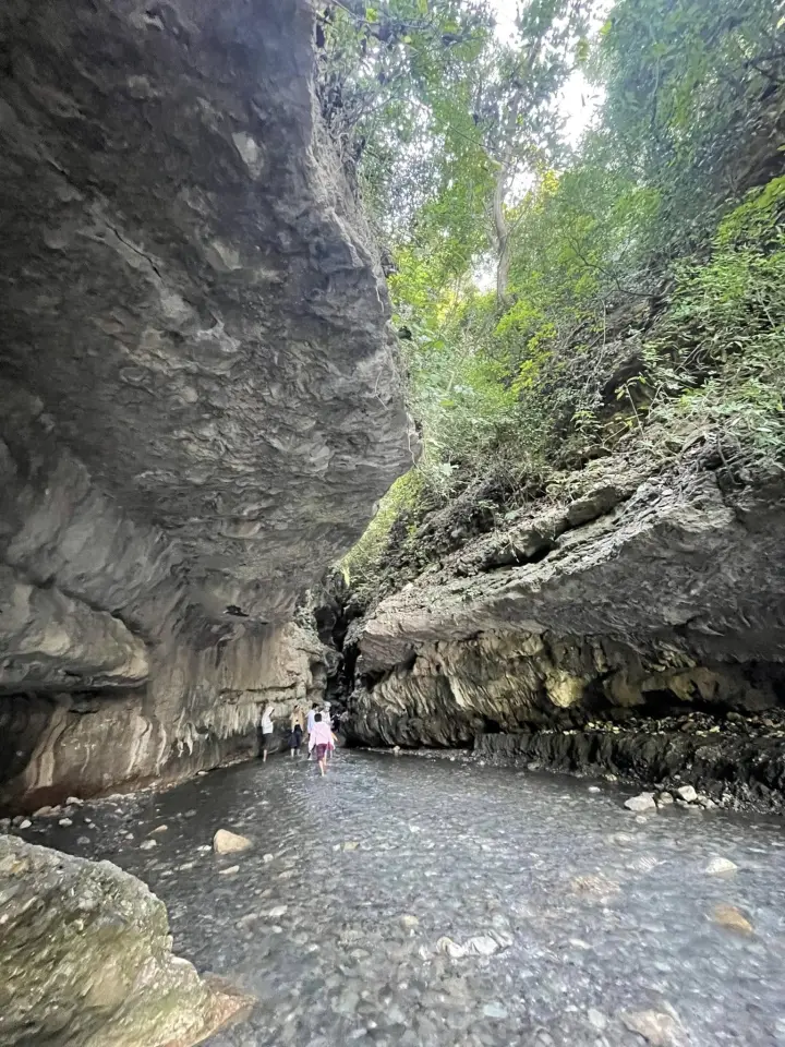 A stream running through a narrow gorge at Robber's Cave